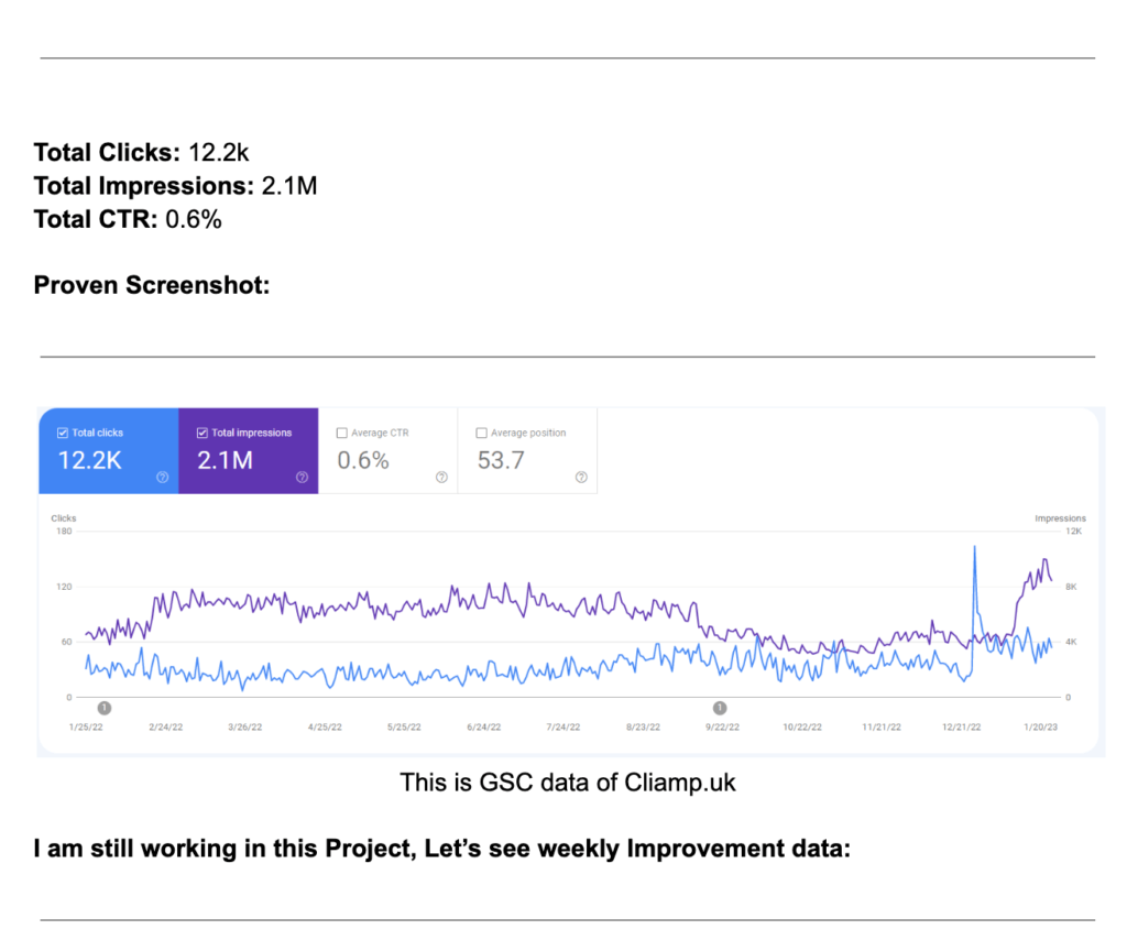 project report